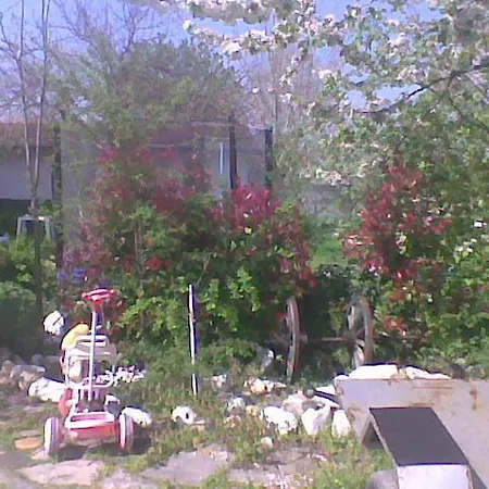 Guest house Jurassic Park