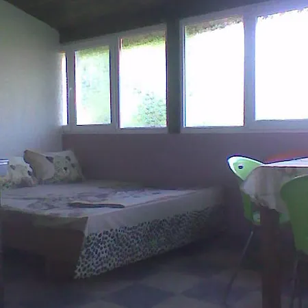 Guest house Jurassic Park